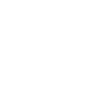 Syria Inn