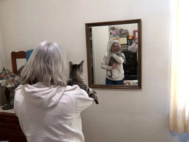 غرفة في بيت ضيافة قرب الميناء